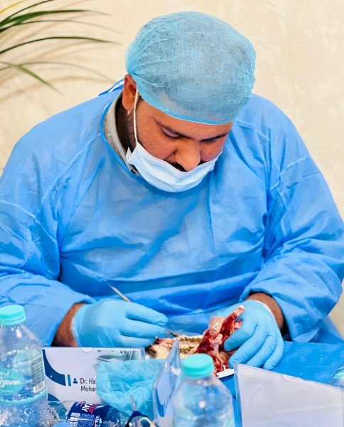    داکترحمیدالله محمدی 